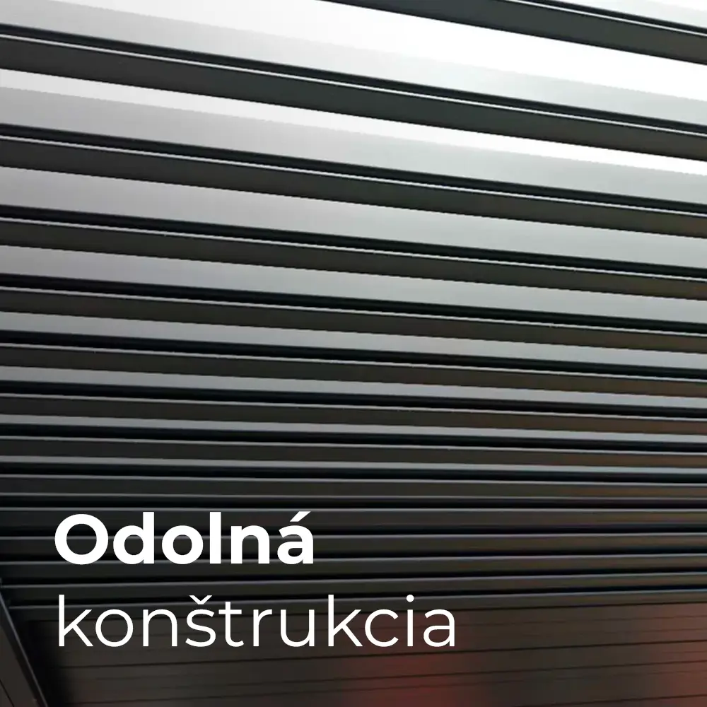 konstrukcia_carp